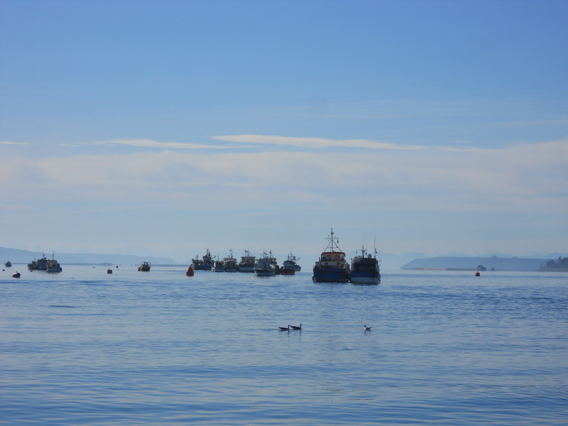 Foto: Dalcahue - Dalcahue (Los Lagos), Chile