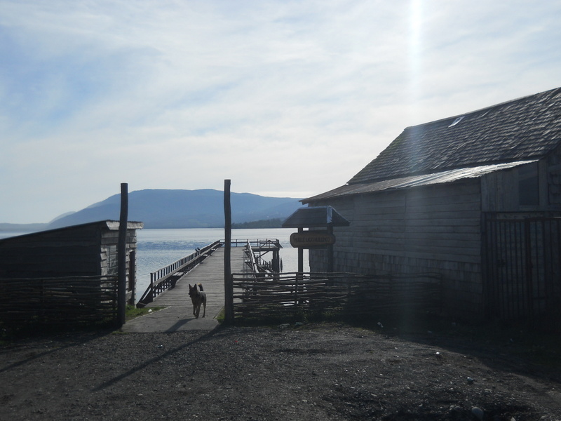 Foto: Huillinco - Huillinco (Los Lagos), Chile