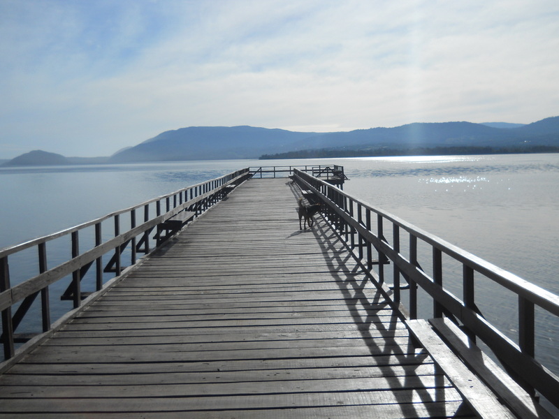 Foto: Huillinco - Huillinco (Los Lagos), Chile