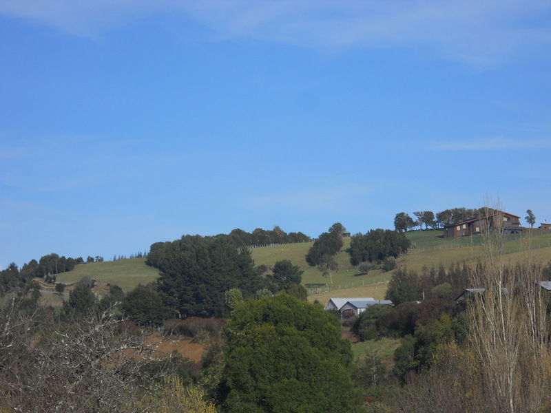 Foto: Huillinco - Huillinco (Los Lagos), Chile