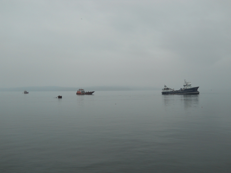 Foto: Quellon - Quellon (Los Lagos), Chile