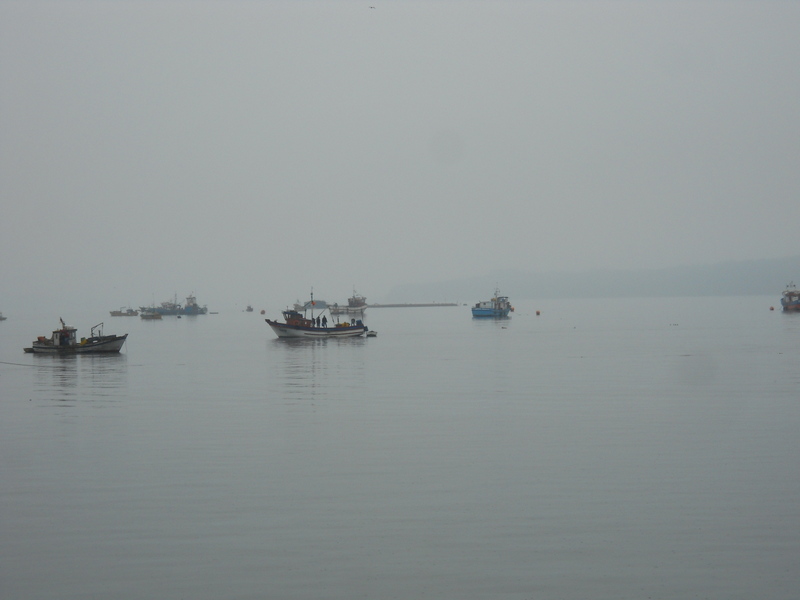 Foto: Quellon - Quellon (Los Lagos), Chile