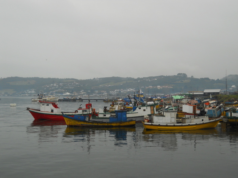 Foto: Quellon - Quellon (Los Lagos), Chile