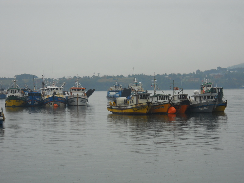 Foto: Quellon - Quellon (Los Lagos), Chile