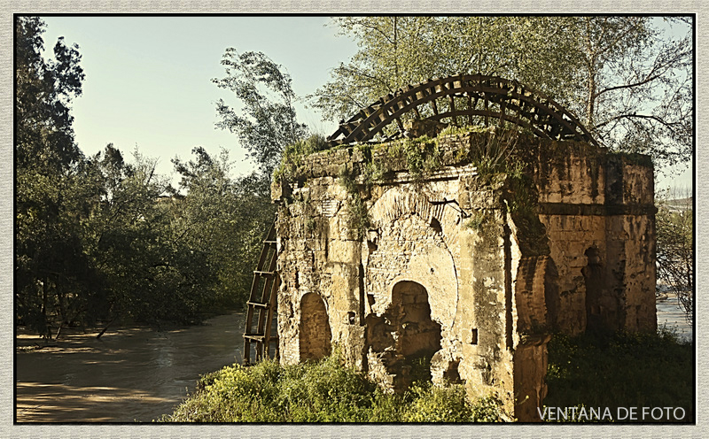 Foto: RÍO GUADALQUIVIR - Córdoba (Andalucía), España