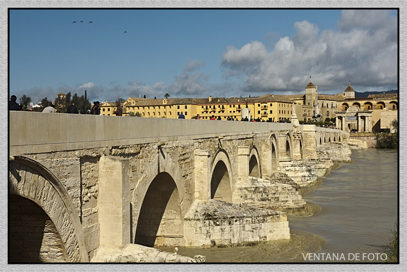 Foto: RÍO GUADALQUIVIR - Córdoba (Andalucía), España