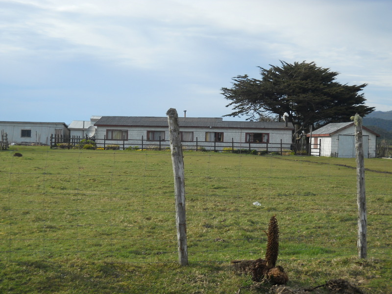 Foto: Cucao - Cucao (Los Lagos), Chile