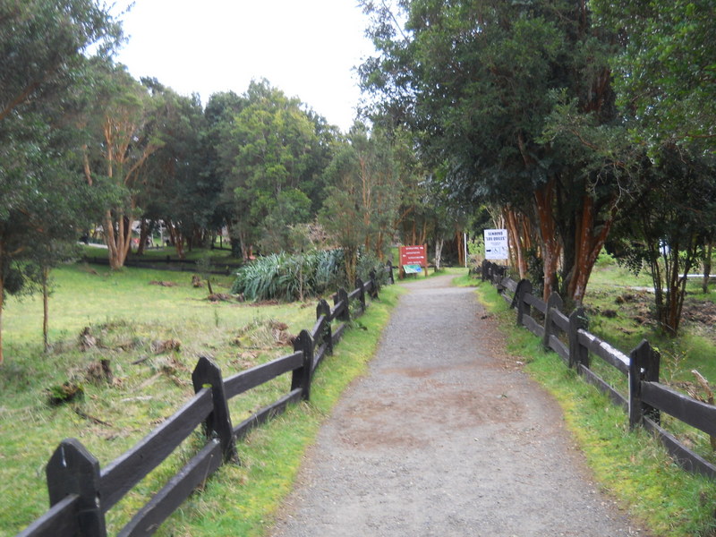Foto: Parque Nacional Chiloe - Cucao (Los Lagos), Chile