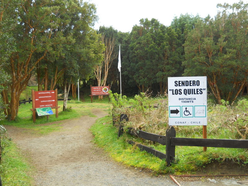 Foto: Parque Nacional Chiloe - Cucao (Los Lagos), Chile