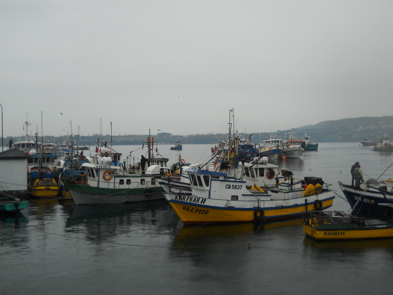 Foto: Quellon - Quellon (Los Lagos), Chile