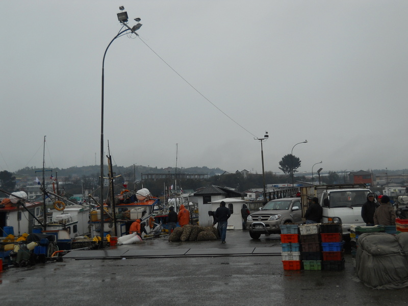 Foto: Quellon - Quellon (Los Lagos), Chile