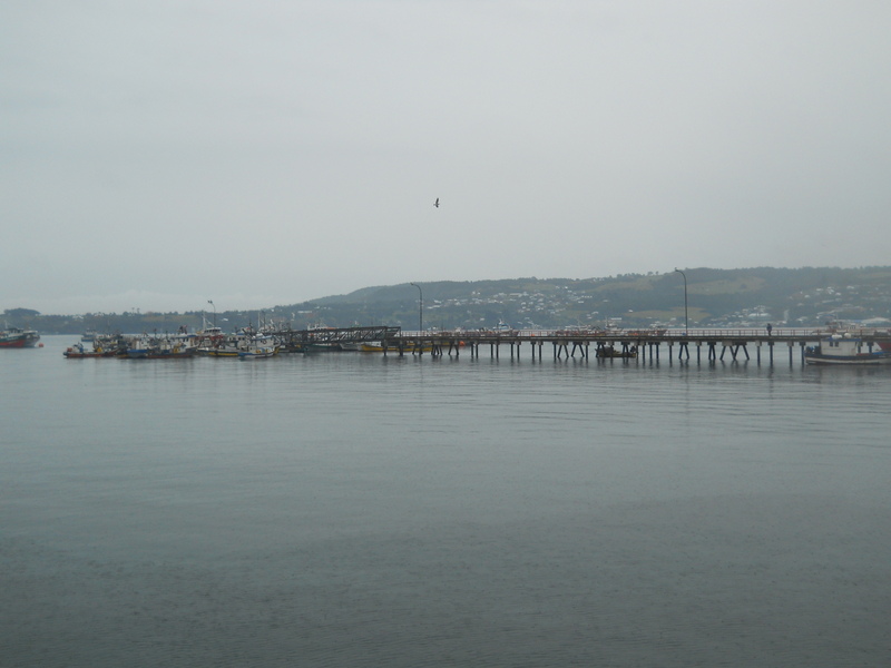 Foto: Quellon - Quellon (Los Lagos), Chile