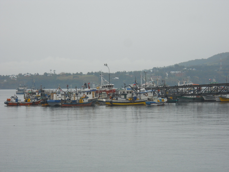 Foto: Quellon - Quellon (Los Lagos), Chile