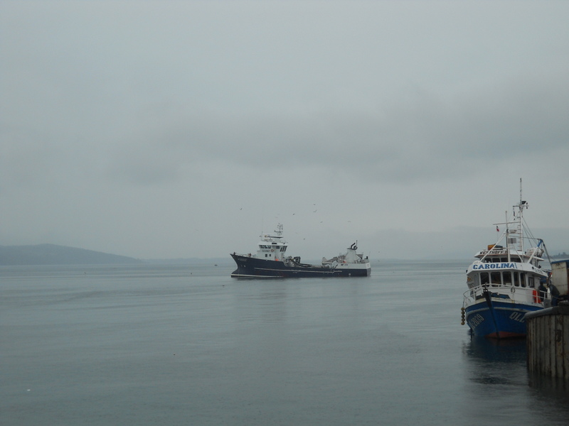 Foto: Quellon - Quellon (Los Lagos), Chile