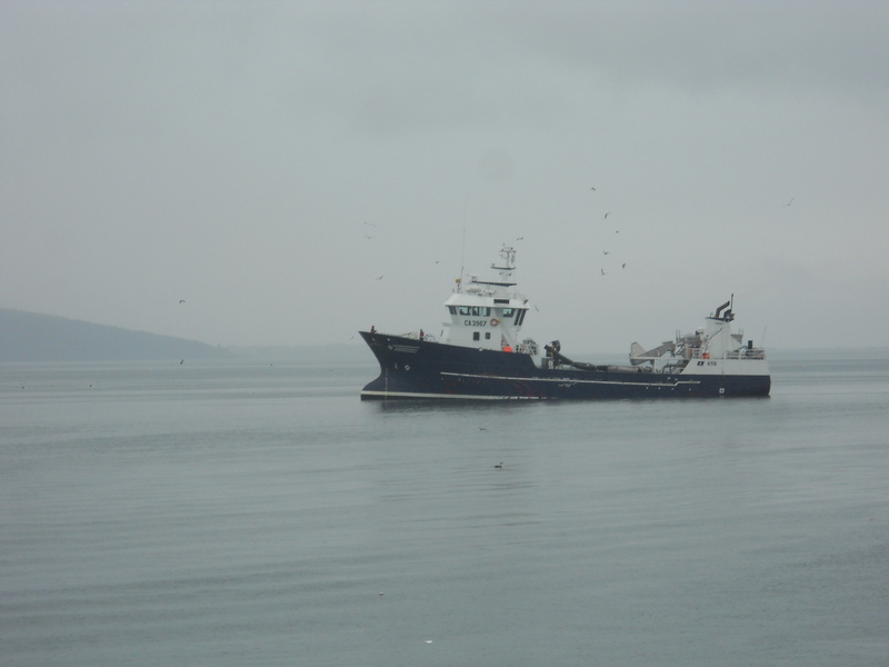 Foto: Quellon - Quellon (Los Lagos), Chile