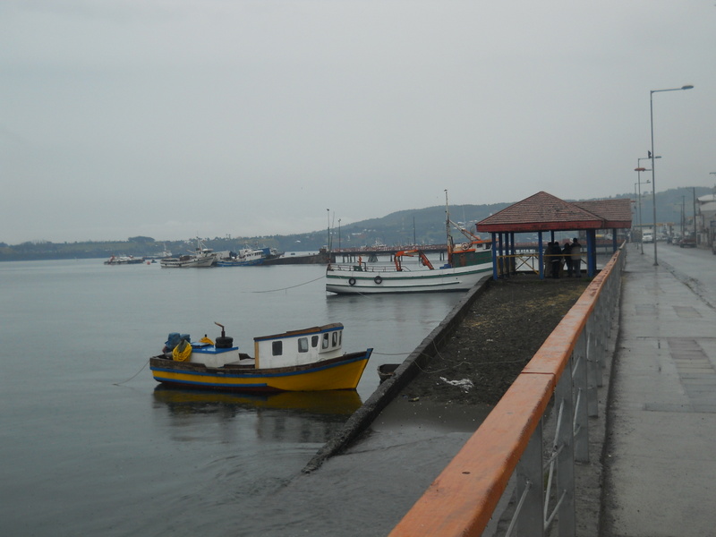 Foto: Quellon - Quellon (Los Lagos), Chile