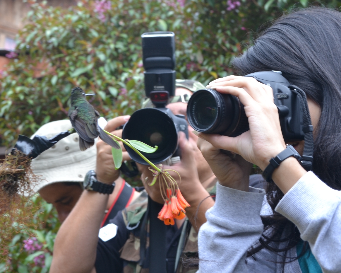 Foto: Foteando Colibríes - Cerro de la Muerte (San José), Costa Rica