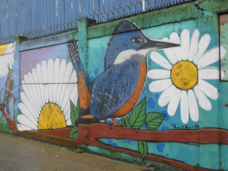 Foto: Castro - Castro (Los Lagos), Chile