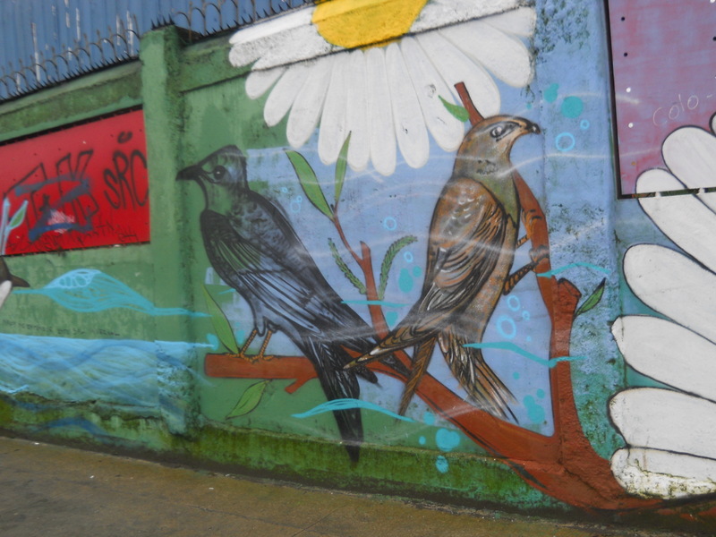 Foto: Castro - Castro (Los Lagos), Chile