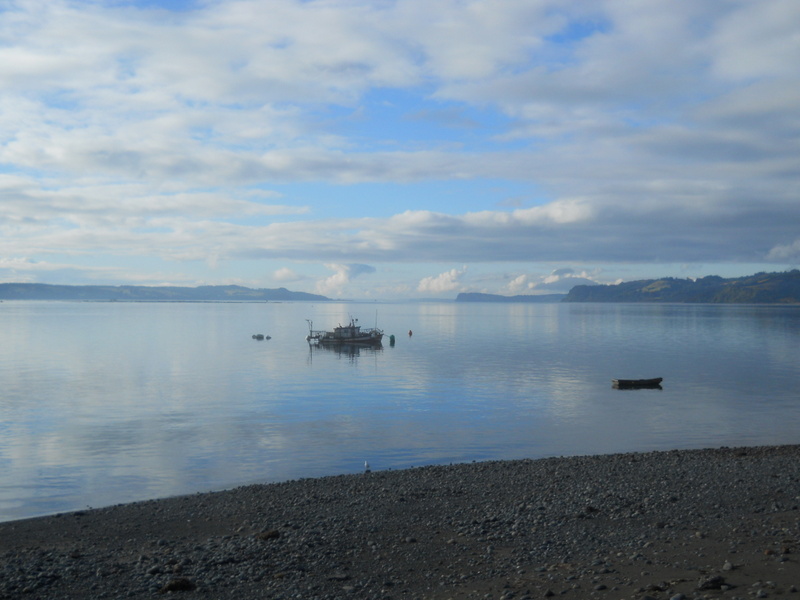 Foto: Quemchi - Quemchi (Los Lagos), Chile