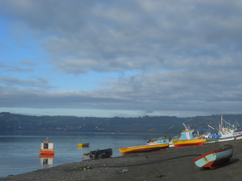 Foto: Quemchi - Quemchi (Los Lagos), Chile