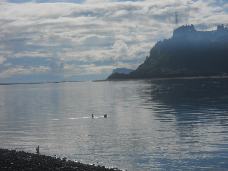 Foto: Quemchi - Quemchi (Los Lagos), Chile