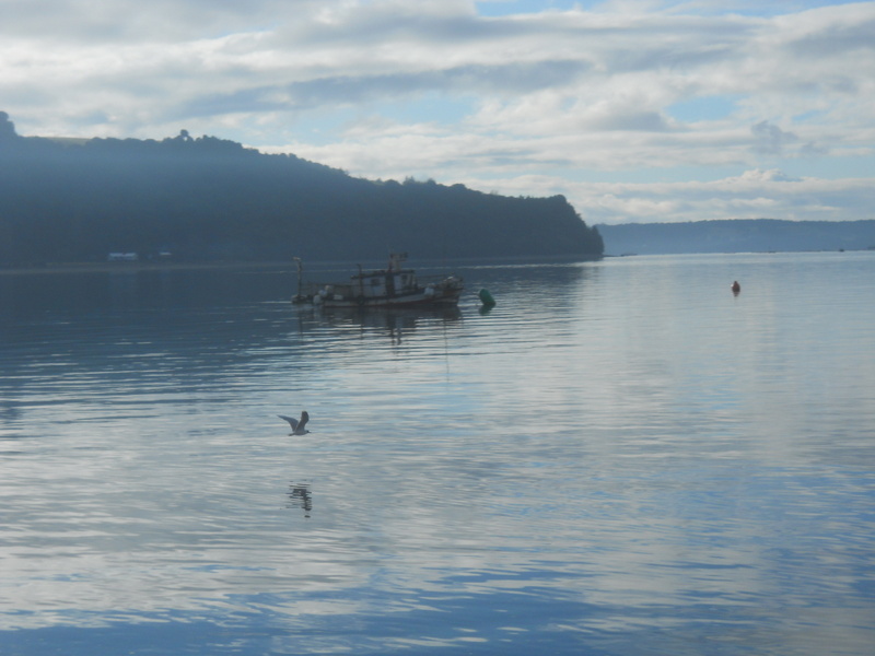 Foto: Quemchi - Quemchi (Los Lagos), Chile