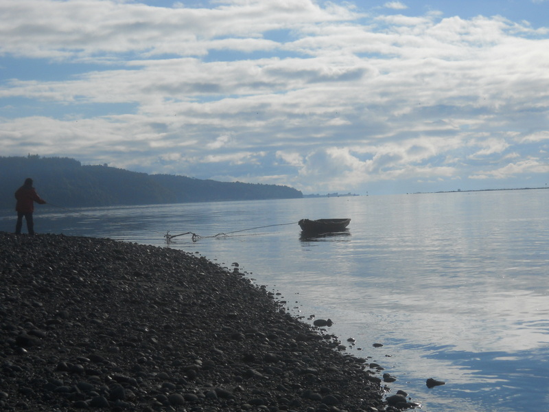 Foto: Quemchi - Quemchi (Los Lagos), Chile