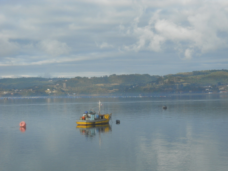 Foto: Quemchi - Quemchi (Los Lagos), Chile