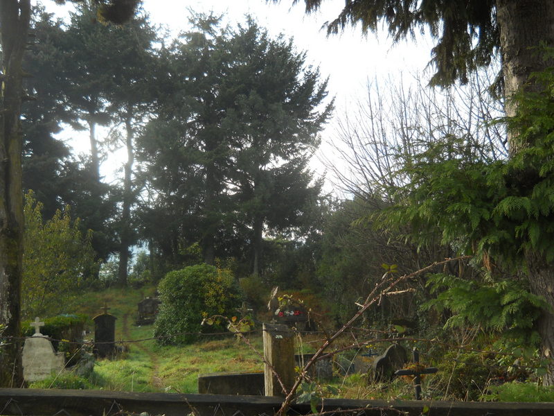 Foto: Quemchi - Quemchi (Los Lagos), Chile