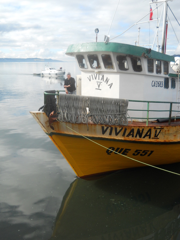 Foto: Quemchi - Quemchi (Los Lagos), Chile