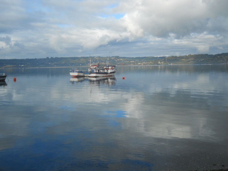 Foto: Quemchi - Quemchi (Los Lagos), Chile
