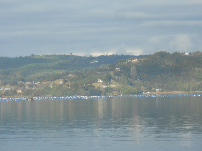 Foto: Quemchi - Quemchi (Los Lagos), Chile