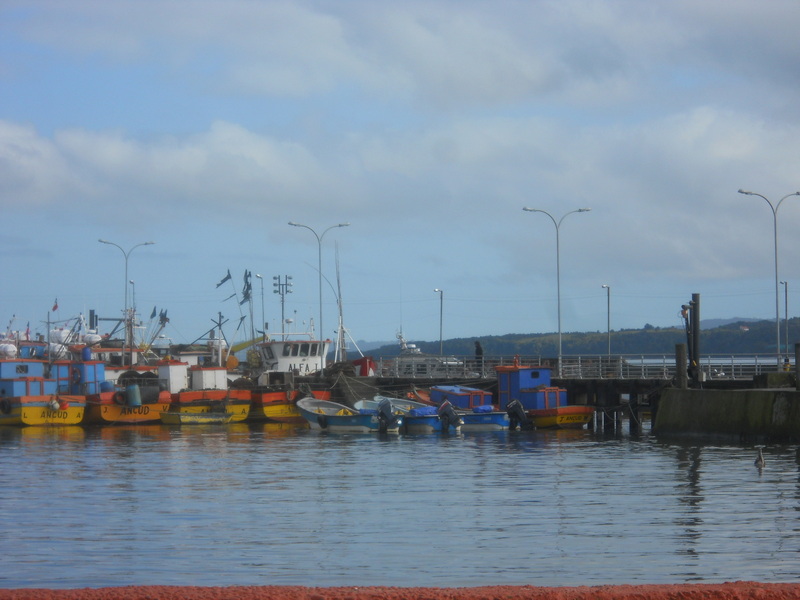 Foto: Ancud - Ancud (Los Lagos), Chile