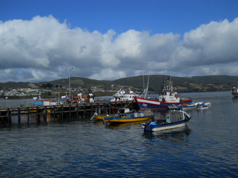 Foto: Ancud - Ancud (Los Lagos), Chile
