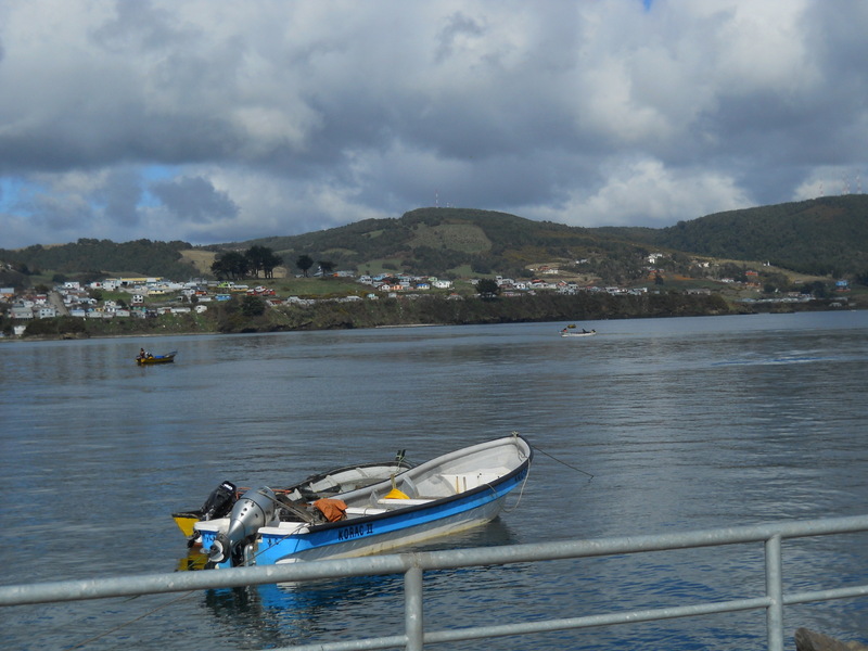Foto: Ancud - Ancud (Los Lagos), Chile