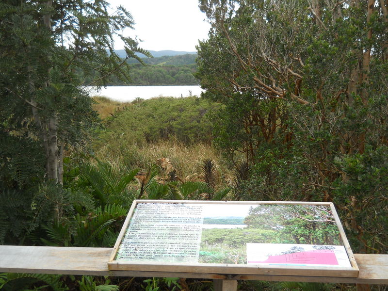 Foto: Parque Nacional Chiloe - Cucao (Los Lagos), Chile