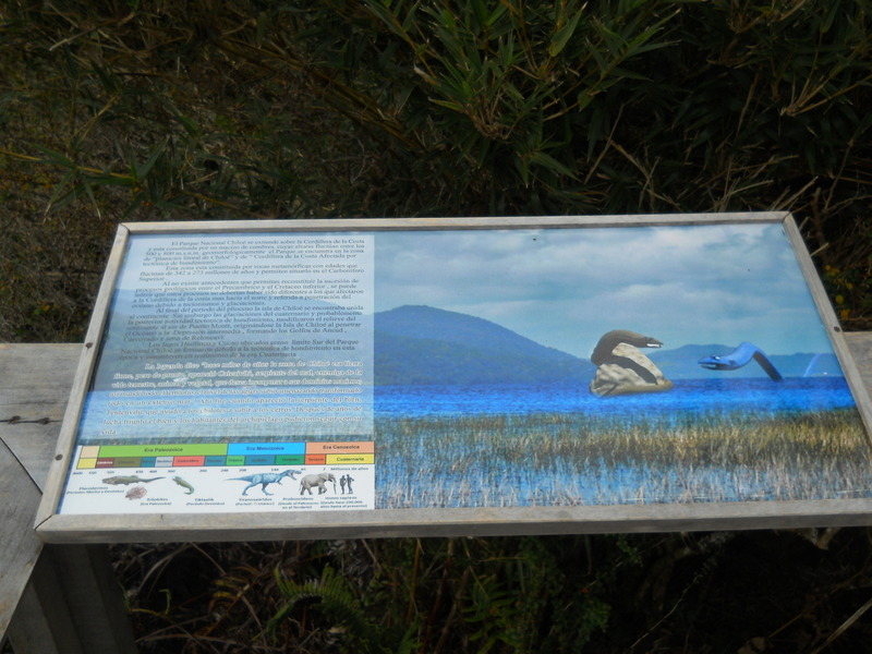 Foto: Parque Nacional Chiloe - Cucao (Los Lagos), Chile