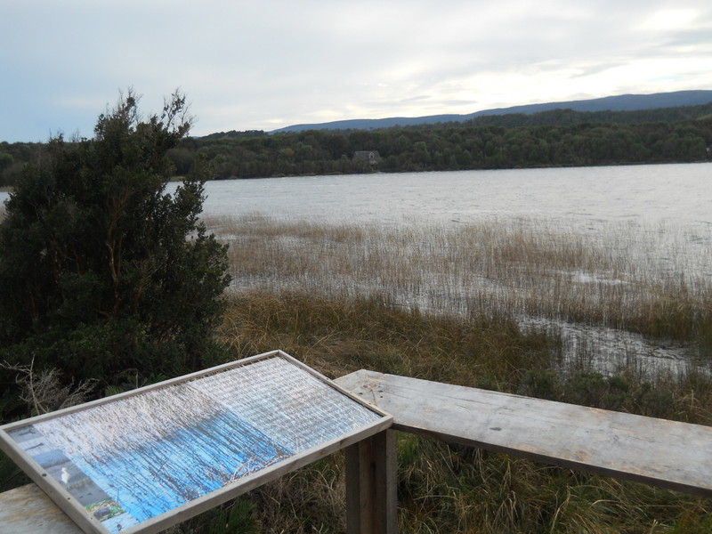 Foto: parque nacional chiloe - Cucao (Los Lagos), Chile
