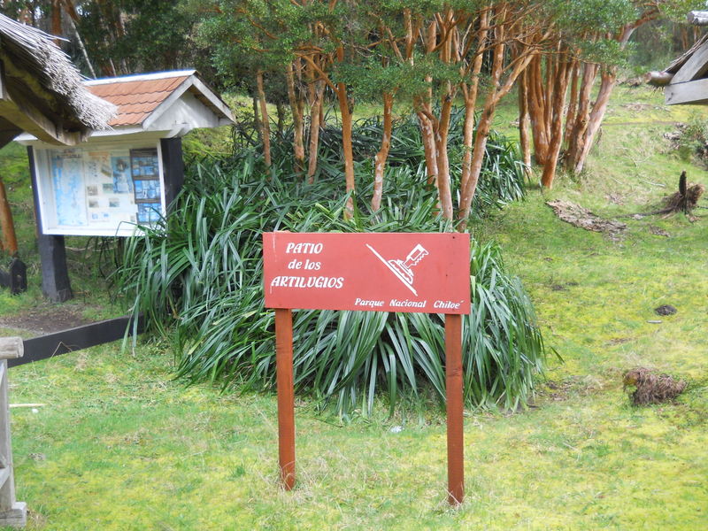 Foto: Parque Nacional Chiloe - Cucao (Los Lagos), Chile