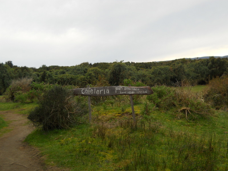Foto: Parque Nacional Chiloe - Cucao (Los Lagos), Chile