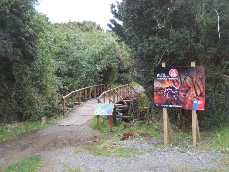 Foto: Parque Nacional Chiloe - Cucao (Los Lagos), Chile