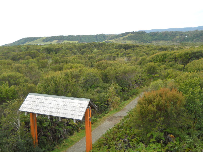 Foto: Parque Nacional Chiloe - Cucao (Los Lagos), Chile