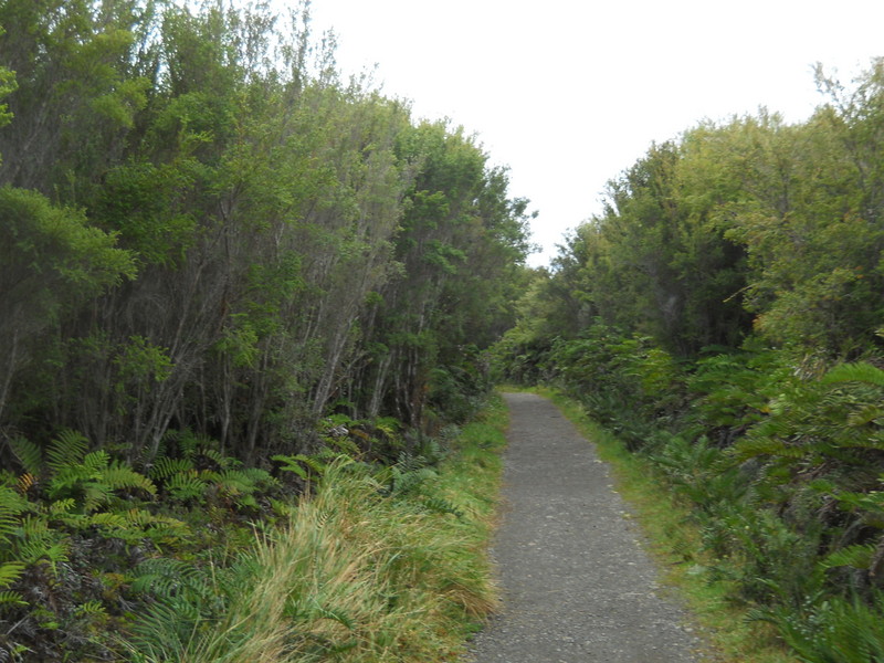 Foto: Parque Nacional Chiloe - Cucao (Los Lagos), Chile