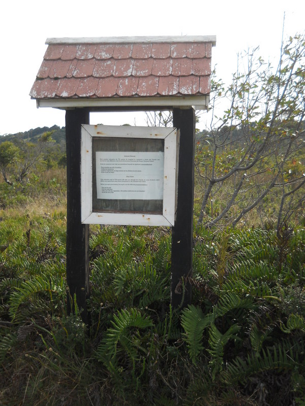 Foto: Parque Nacional Chiloe - Cucao (Los Lagos), Chile