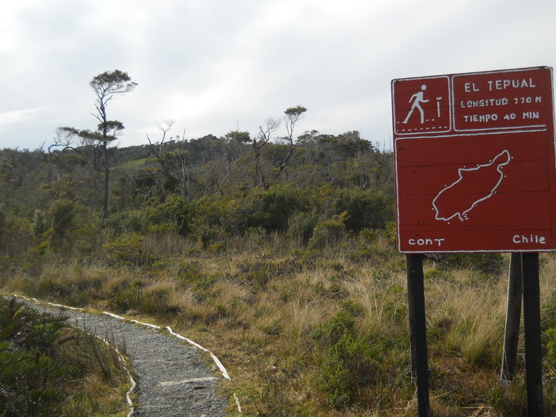 Foto: Parque Nacional Chiloe - Cucao (Los Lagos), Chile
