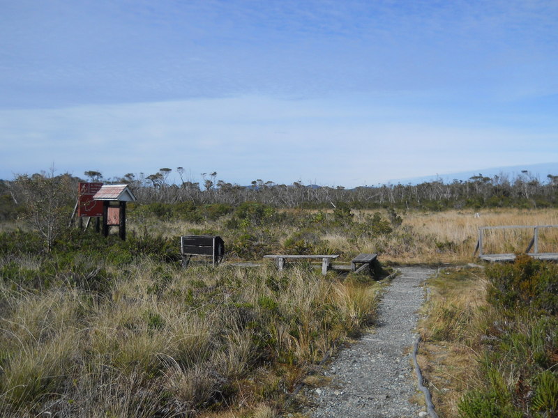 Foto: Parque Nacional Chiloe - Cucao (Los Lagos), Chile