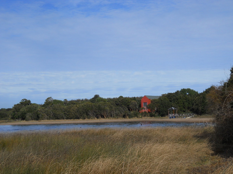 Foto: Parque Nacional Chiloe - Cucao (Los Lagos), Chile