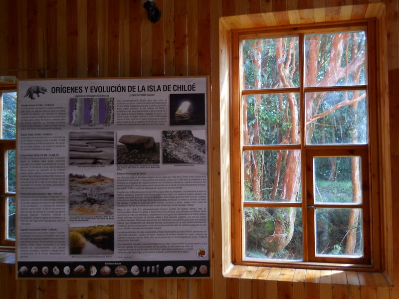 Foto: Parque Nacional Chiloe - Cucao (Los Lagos), Chile