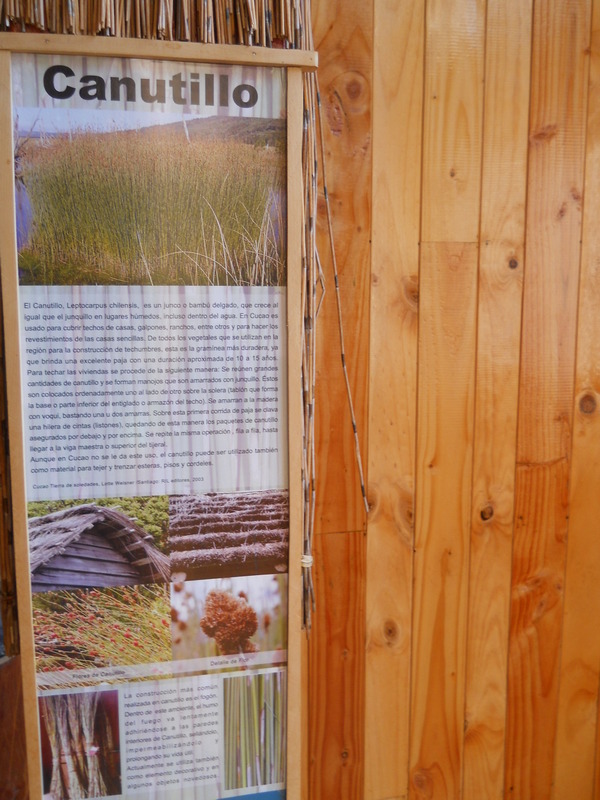 Foto: Parque Nacional Chiloe - Cucao (Los Lagos), Chile